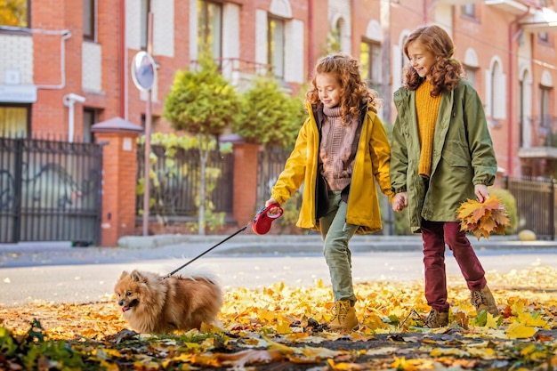 Deux filles aux cheveux roux marchent dans la rue par une journée d'automne ensoleillée Marcher avec un petit chien de Poméranie moelleux