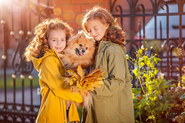 Deux filles aux cheveux roux marchent dans la rue par une journée d'automne ensoleillée Marcher avec un petit chien de Poméranie moelleux