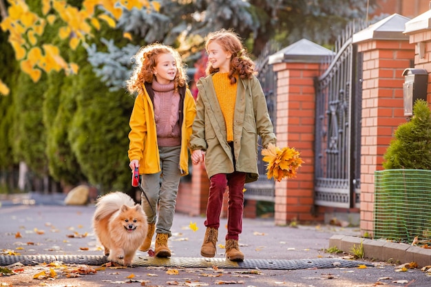 Deux filles aux cheveux roux marchent dans la rue par une journée d'automne ensoleillée Marcher avec un petit chien de Poméranie moelleux