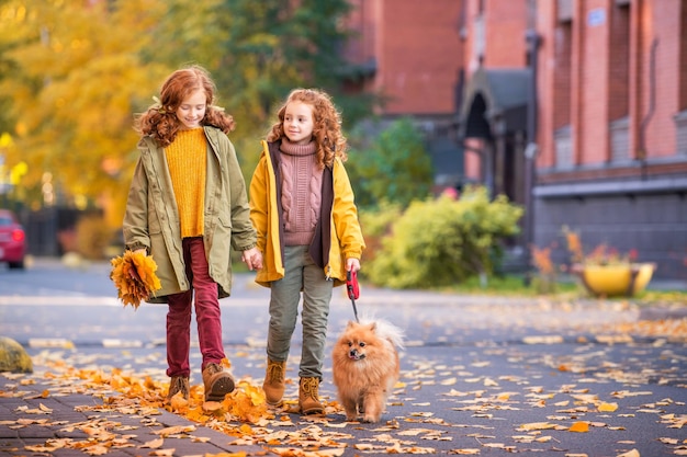 Deux filles aux cheveux roux marchent dans la rue par une journée d'automne ensoleillée Marcher avec un petit chien de Poméranie moelleux