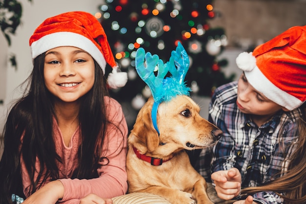 Deux filles et le chien couché devant l'arbre de Noël