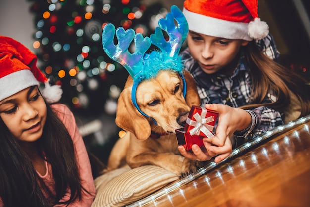 Deux filles et le chien couché devant l'arbre de Noël