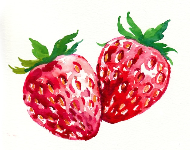 Deux fraises. Dessin à l'encre et à l'aquarelle