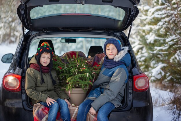 Deux frères adorables assis dans la voiture à la forêt enneigée de l'hiver. Concept de vacances.