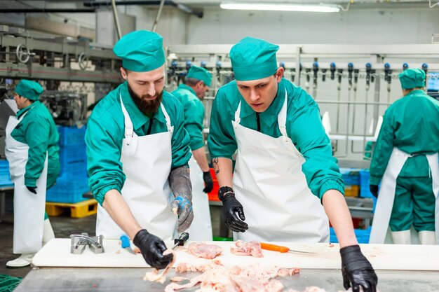 Deux hommes en blouse verte travaillent dans une usine.