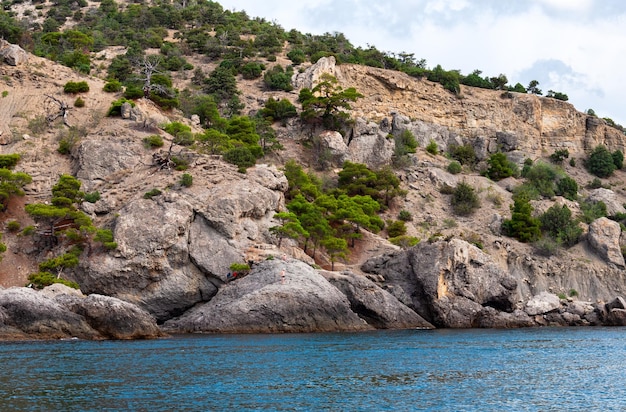 Deux hommes se reposent sur les rochers au bord de la mer