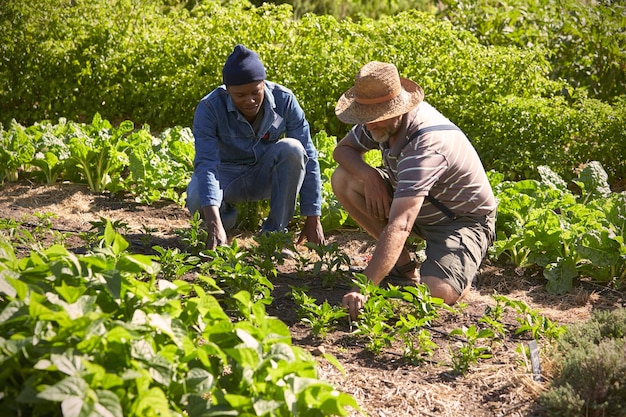 Deux hommes travaillant ensemble sur l'attribution communautaire