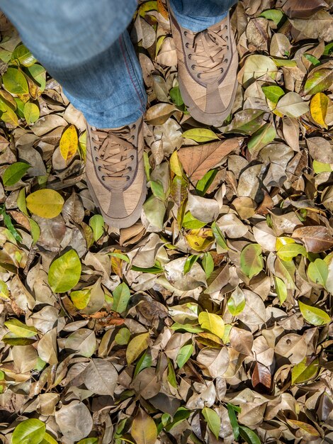 Deux jambes se tiennent sur des feuilles sèches en automne.