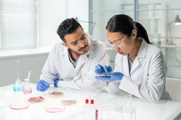 Deux jeunes chercheurs interculturels ou cliniciens en blouse blanche et gants scrutant l'un des échantillons de viande de légumes crus en laboratoire