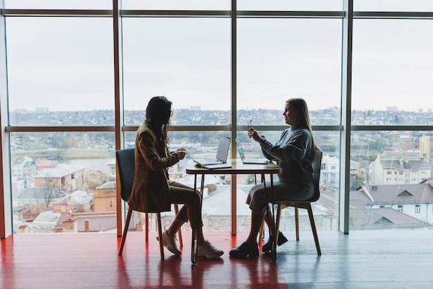 Deux jeunes collègues féminines assises avec des ordinateurs portables près de grandes fenêtres espace de travail moderne Employées de bureau