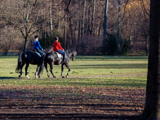 Deux jeunes femmes à cheval dans le parc.