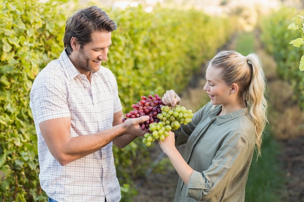 Deux jeunes vignerons heureux tenant des raisins