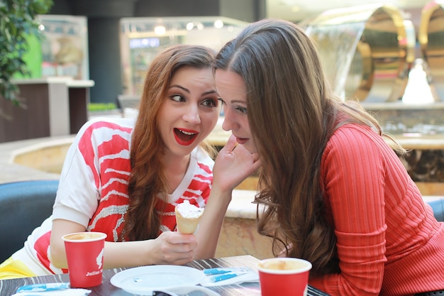 Deux jolies filles font du shopping dans le centre commercial