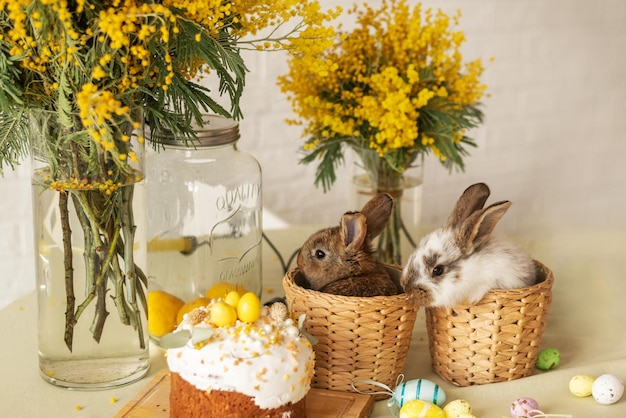 Deux lapins mignons sont assis dans des paniers sur la table près du gâteau de Pâques Fond de Pâques avec un bouquet de mimosa