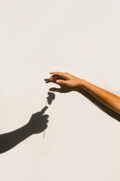 Deux mains faisant l'amour symbole de l'ombre du cœur sur le fond blanc