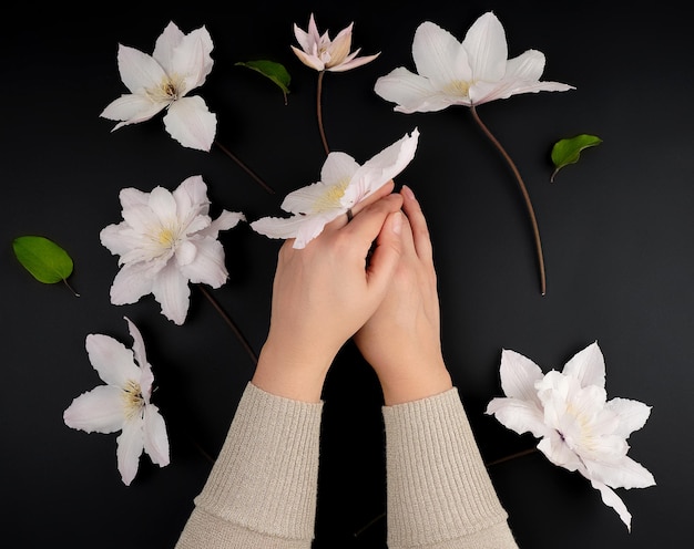 Photo deux mains femelles et des bourgeons de clématite blancs en fleurs