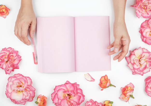 Deux mains féminines tenant le bloc-notes ouvert avec des feuilles roses propres sur un tableau blanc, autour de boutons de rose rose, vue du dessus