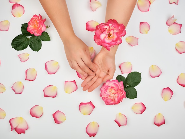 Deux mains d&#39;une jeune fille à la peau lisse et aux pétales de roses