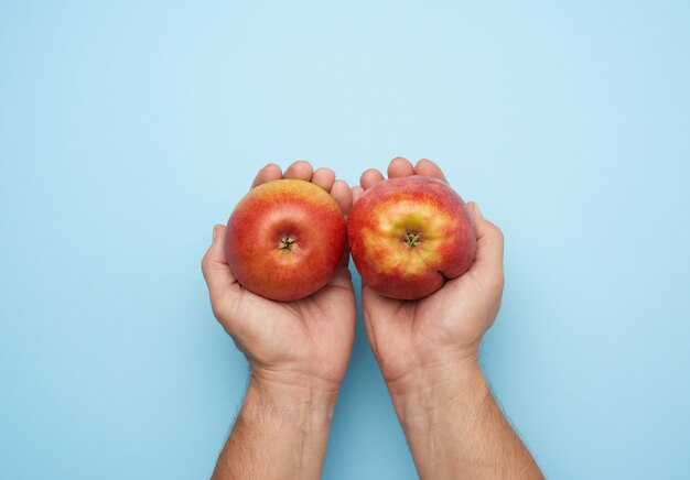 Deux mains mâles tiennent une pomme rouge mûre sur un bleu