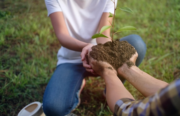 Deux mains tenant ensemble les jeunes d'un arbre