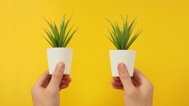 Deux mains tiennent des plantes de cactus artificielles ou un arbre en plastique sur fond jaune
