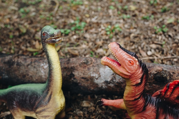 Deux modèles de dinosaures en plastique à l'extérieur