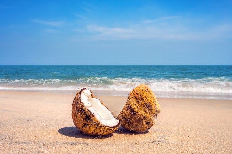 Photo deux moitiés de noix de coco brune craquelée sur une plage de sable blanc avec fond de mer turquoise