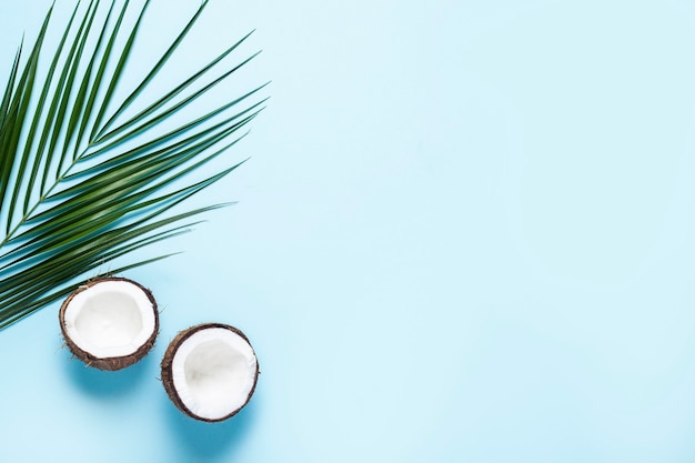 Deux moitiés d'une noix de coco ouverte et une feuille de palmier sur fond bleu