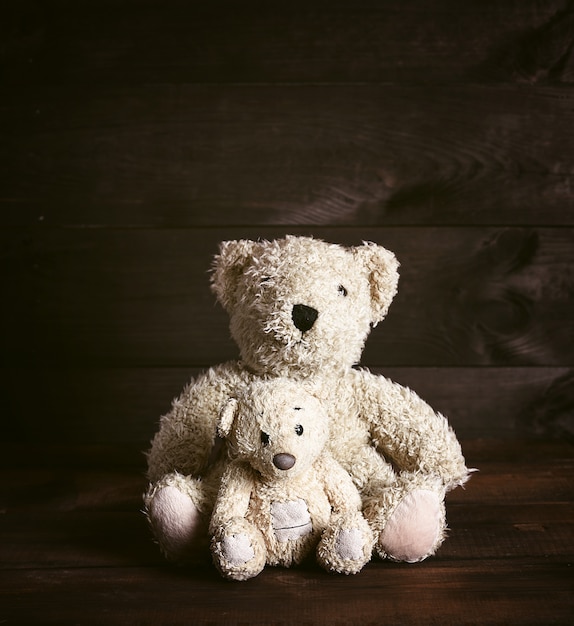 Deux oursons en peluche