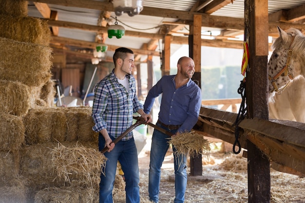 Deux ouvriers agricoles nourrissant des chevaux