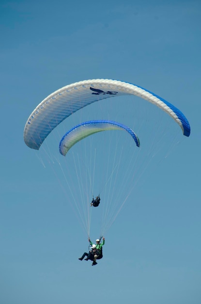 Deux parapentes volant dans un ciel bleu