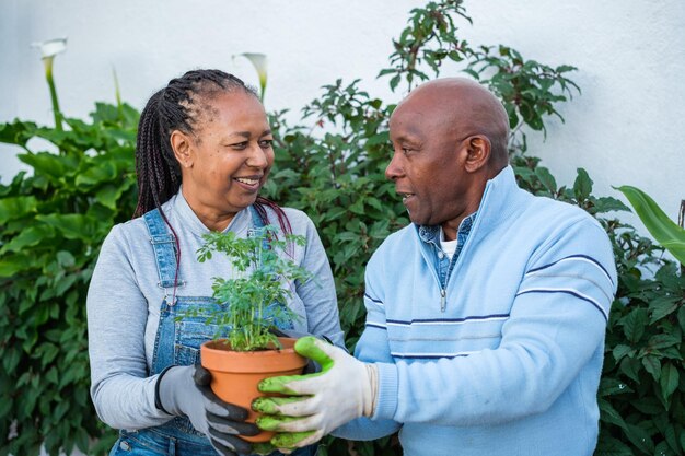 Deux personnes âgées jardinant à l'extérieur de leur maison Concept home gardening fun retraités