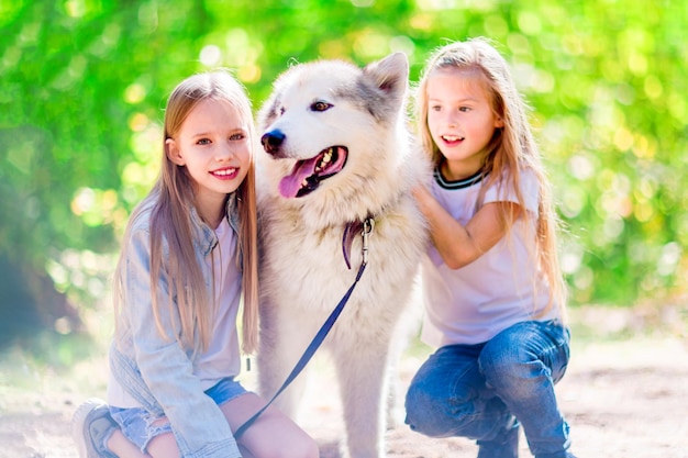 Deux petites filles avec un chien dans le parc Grand chien