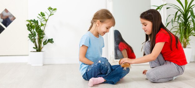 deux petites filles jouent avec un hamster