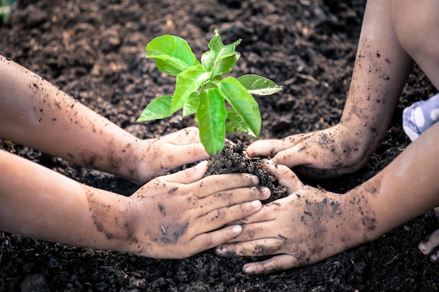 Deux petites filles plantent un jeune arbre.