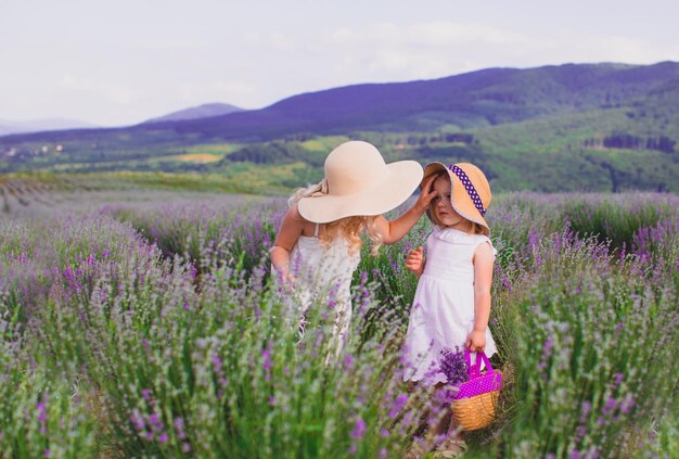 Deux petites sœurs ramassent des fleurs de lavande dans un champ près du village