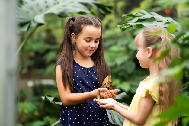 Deux petites sœurs tenant un papillon dans leurs mains. Enfants explorant la nature. Loisirs en famille avec des enfants en été.