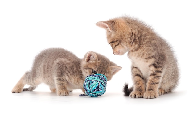 Deux petits chats jouant avec une boule de fil