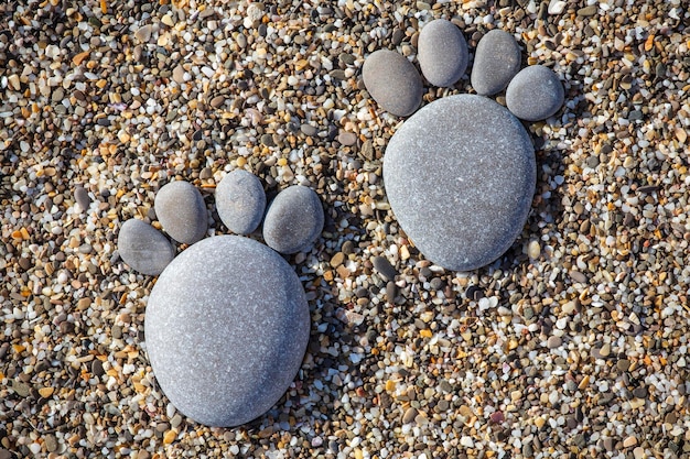 Deux petits pieds et orteils en pierre sur fond de galets en pierre sous la forme d'un gros plan de pieds humains