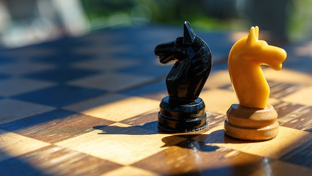 Deux pièces d'un chevalier d'échecs sur un ancien échiquier