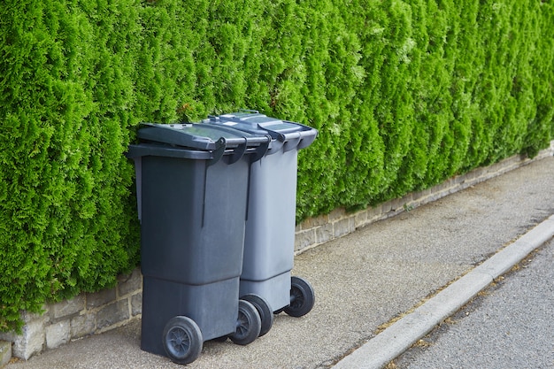 Photo deux poubelles en plastique se tiennent sur l'asphalte propre sur un fond de buissons verts d'un thuya par une journée ensoleillée. le concept de recyclage des déchets, la propreté de la ville