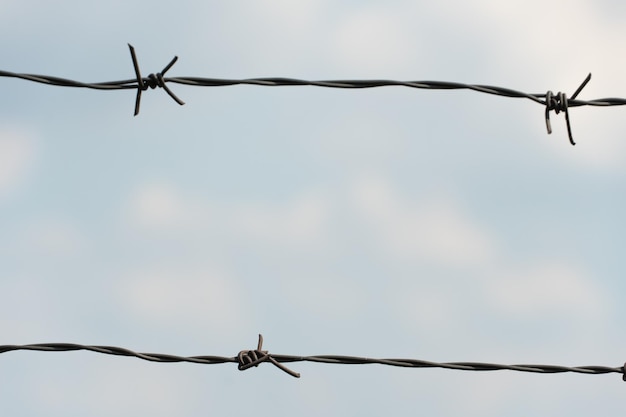 Deux rangées de barbelés contre un ciel bleu Protection de la vie et des biens Protection des criminels en prison Ciel paisible au-dessus de nos têtes à travers le prisme de la violence et de la cruauté des temps modernes