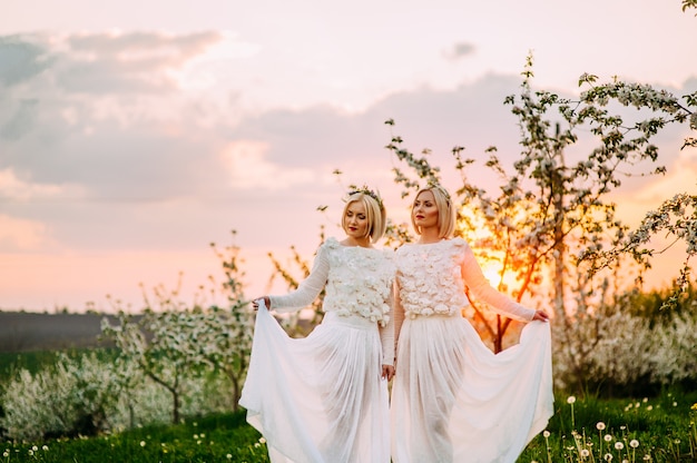 deux soeurs jumelles dans un verger de cerisiers