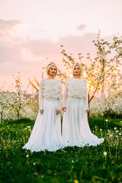 deux soeurs jumelles dans un verger de cerisiers