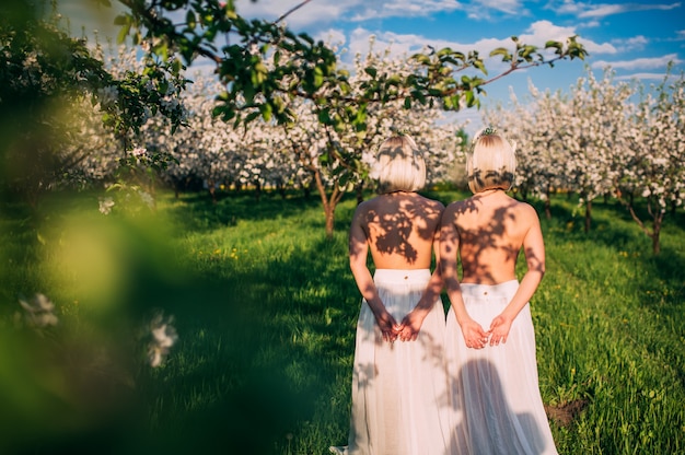 deux soeurs jumelles dans un verger de cerisiers