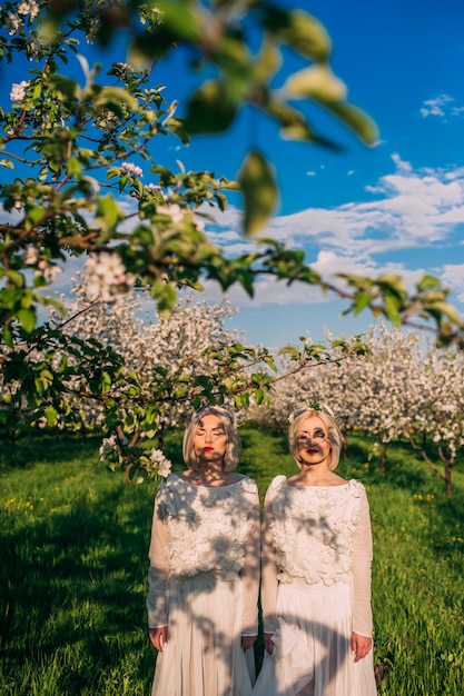 deux soeurs jumelles dans un verger de cerisiers