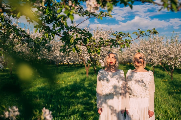 deux soeurs jumelles dans un verger de cerisiers