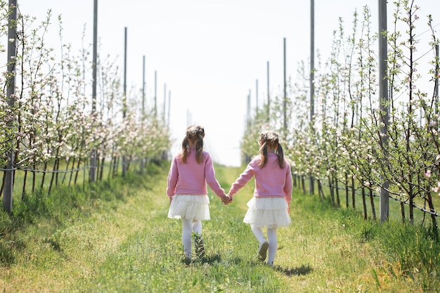 Deux sœurs jumelles se tiennent la main et marchent dans un verger de pommiers au printemps pendant la floraison