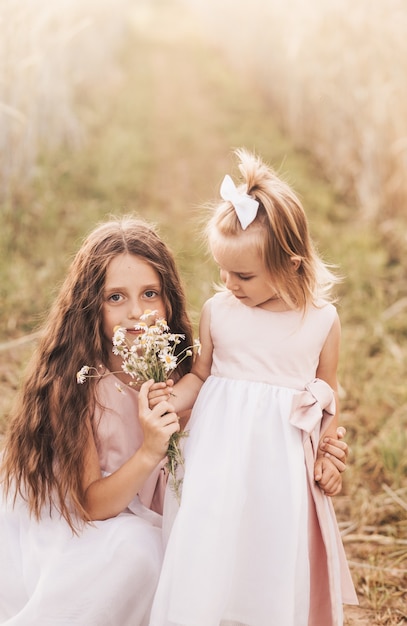 Deux soeurs de petites filles s'embrassent et ramassent des fleurs en été