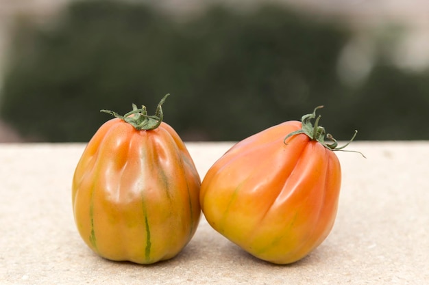 Deux tomates d'une variété rayée typique de la tomate valencienne